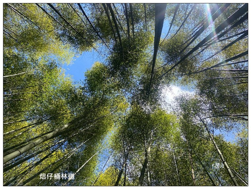 頂石棹步道群、樂野山、霹靂山 d型路線_2749196