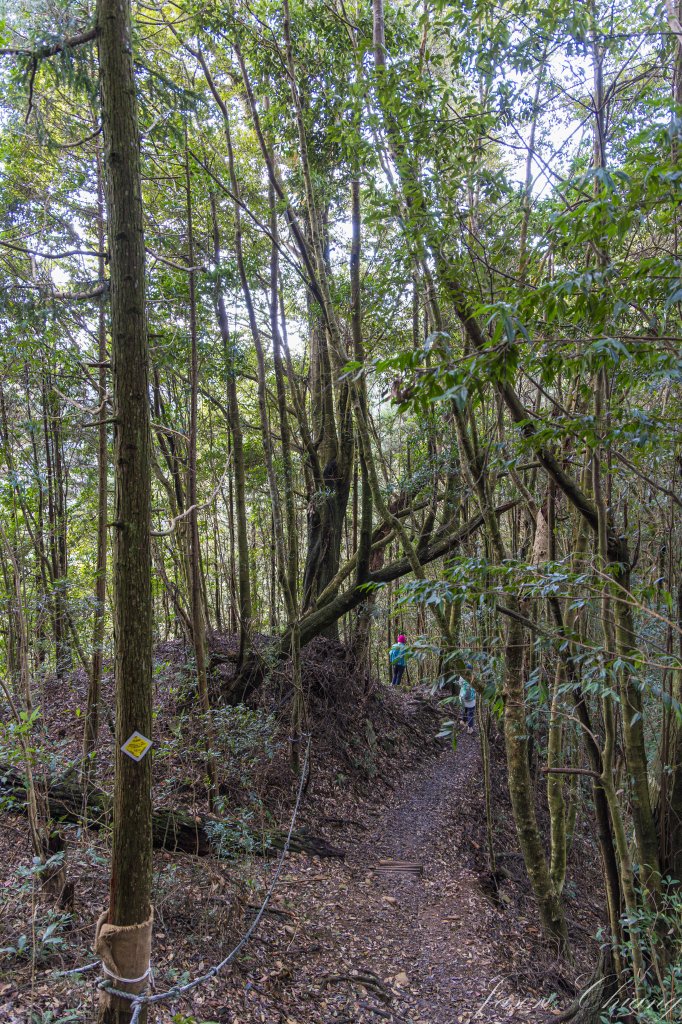 谷關七雄_屋我尾山_2977016