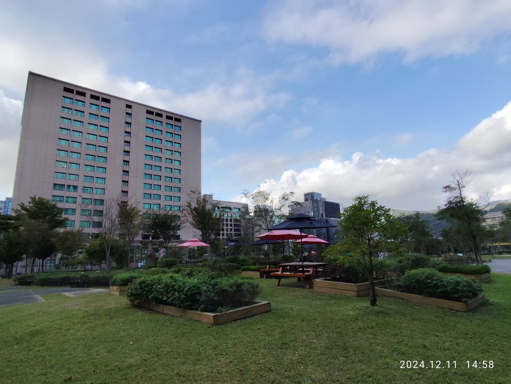 內湖瑞陽公園、大港墘公園_2667225