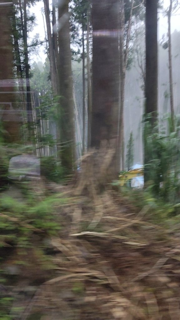 阿里山森林小火車_2865206