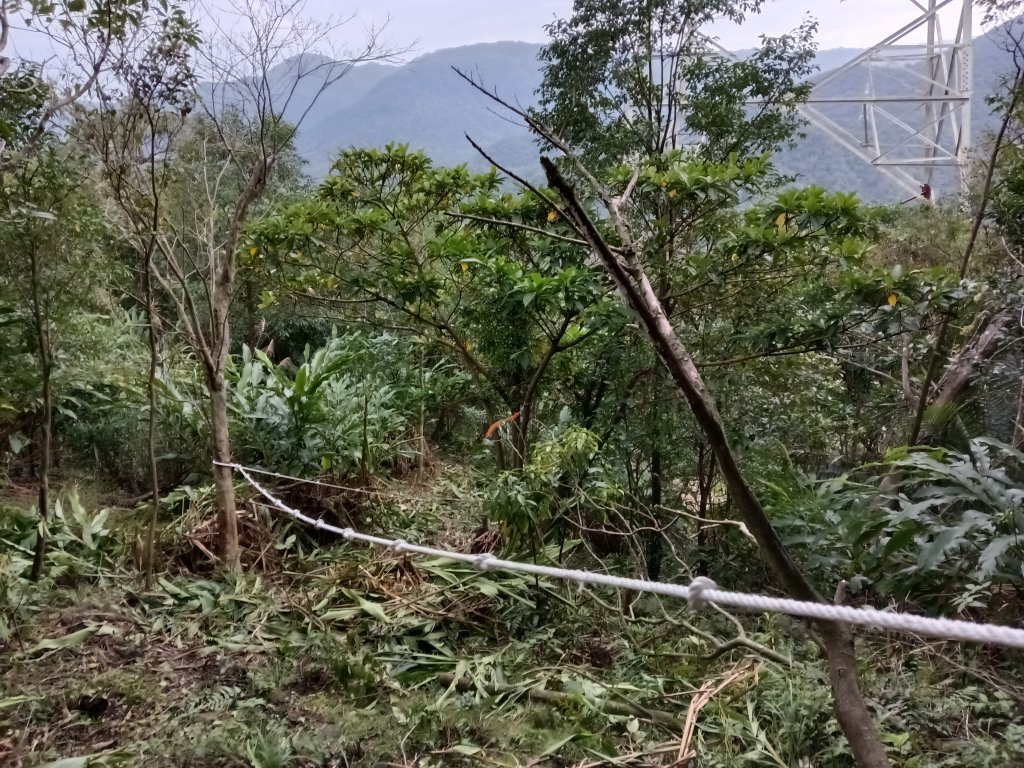 雙溪區彎穹平林山+平湖東步道+紙坑古道(億山煤礦)+紙坑山出平水聚落O型_2965902