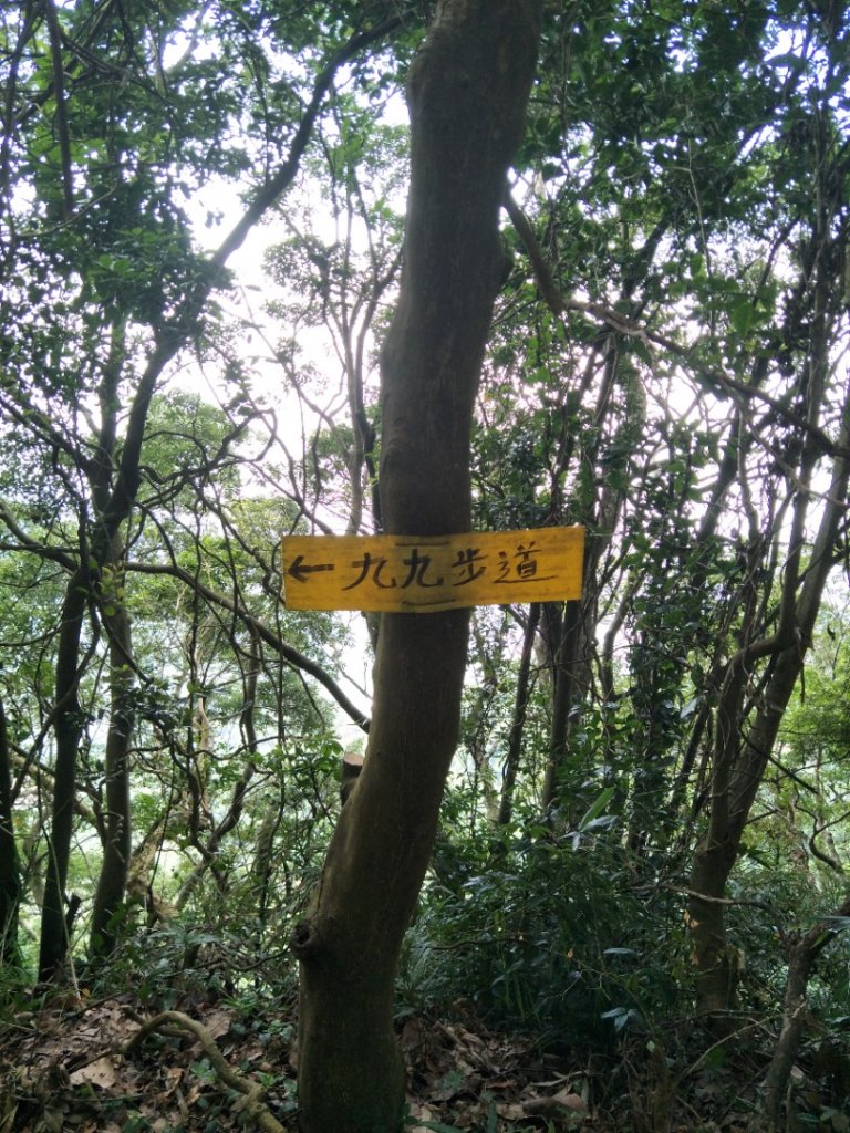 獅山古道_1777730