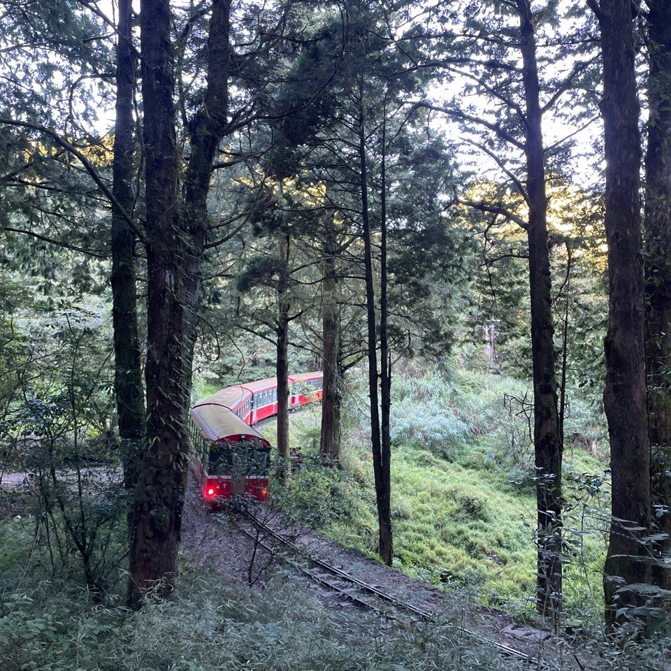 小百岳(59)-大塔山-20220925_1878624