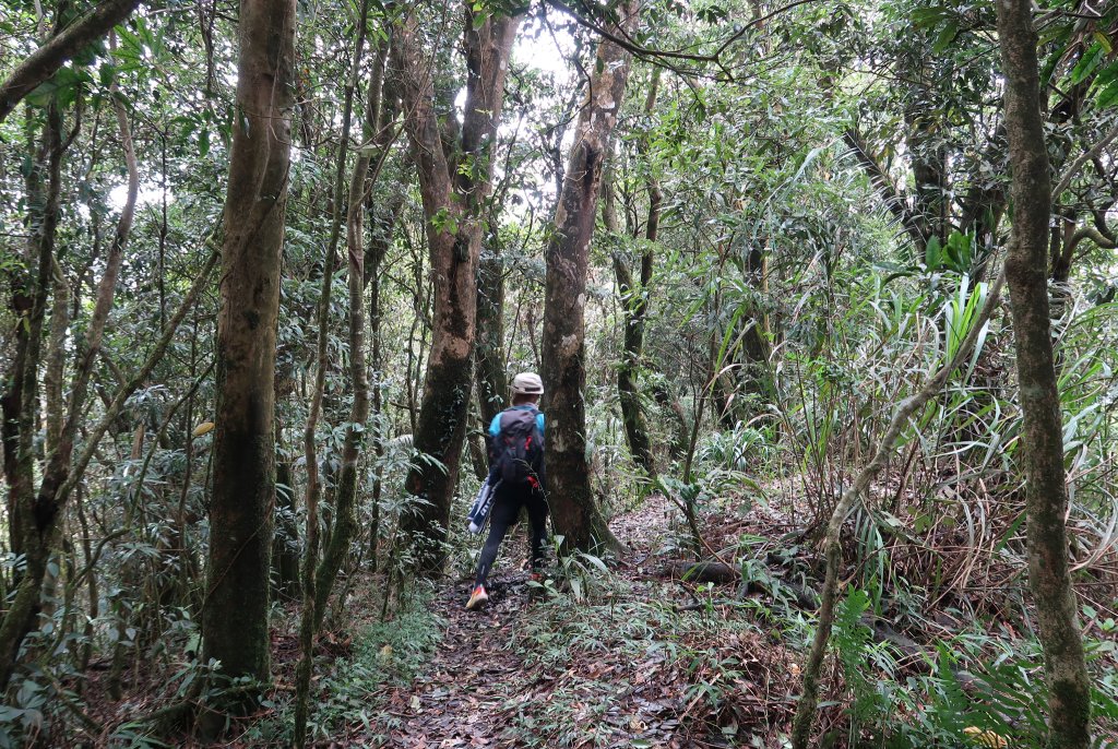 九凍雞縱走_2467975