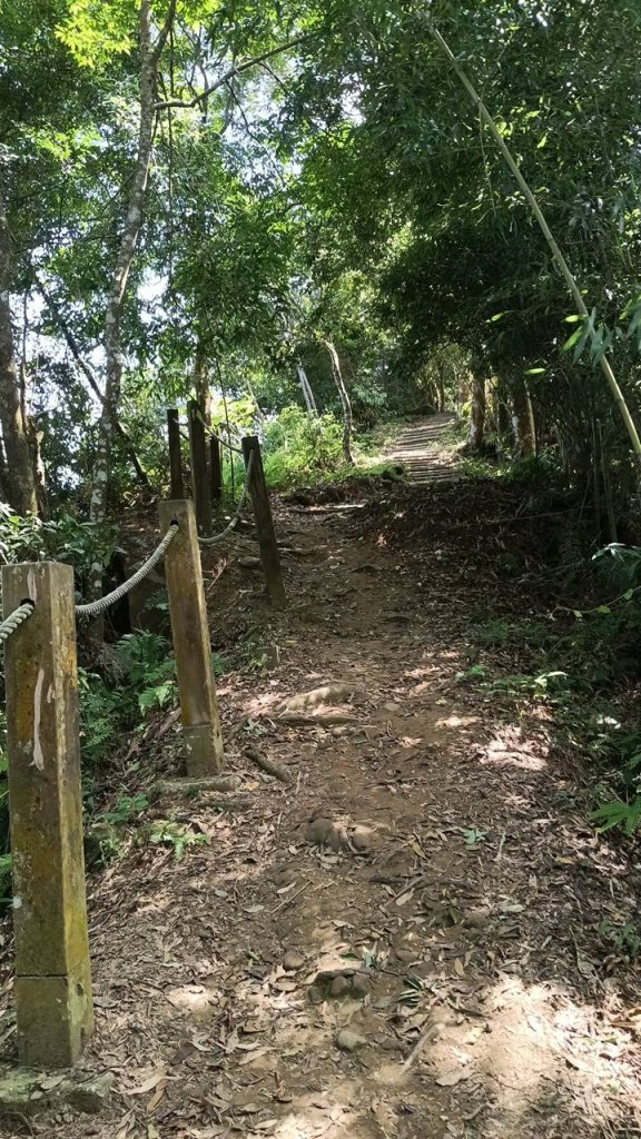 20251004 馬那邦山 - 珠湖 登山口_2904916