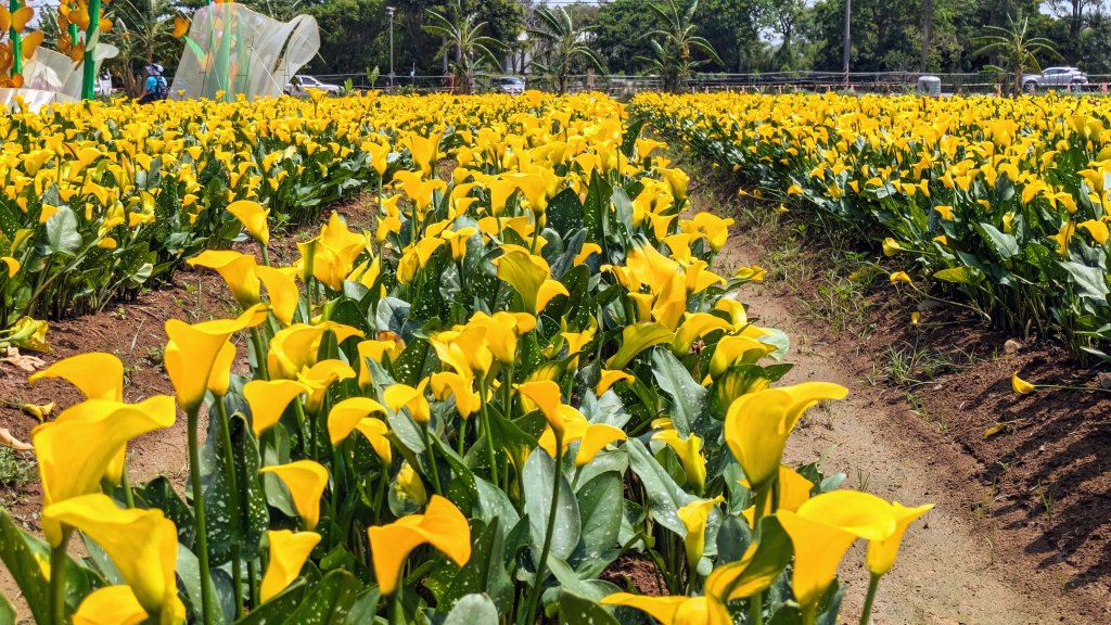 溪海花卉園區_2469906
