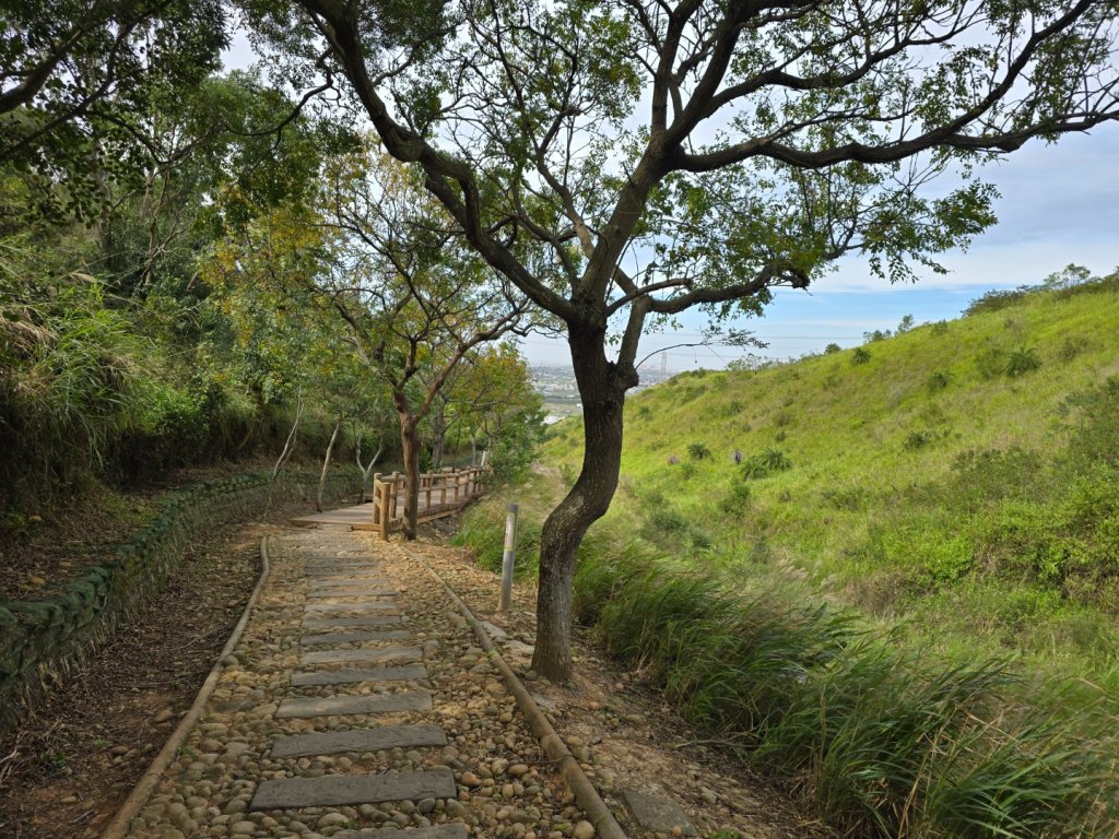 龍井-竹坑-南寮登山古道_2651072