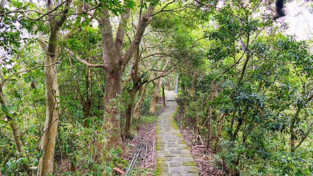 三層崎的呢喃_2692180