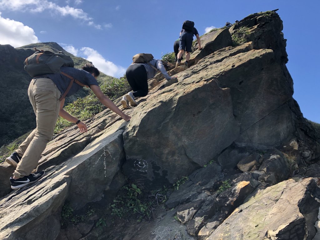 瑞芳-小錐麓/劍龍稜/鋸齒稜/無耳茶壺山_466907