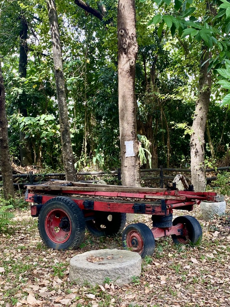 太平悠閒半日遊   2022/11/2_1897470