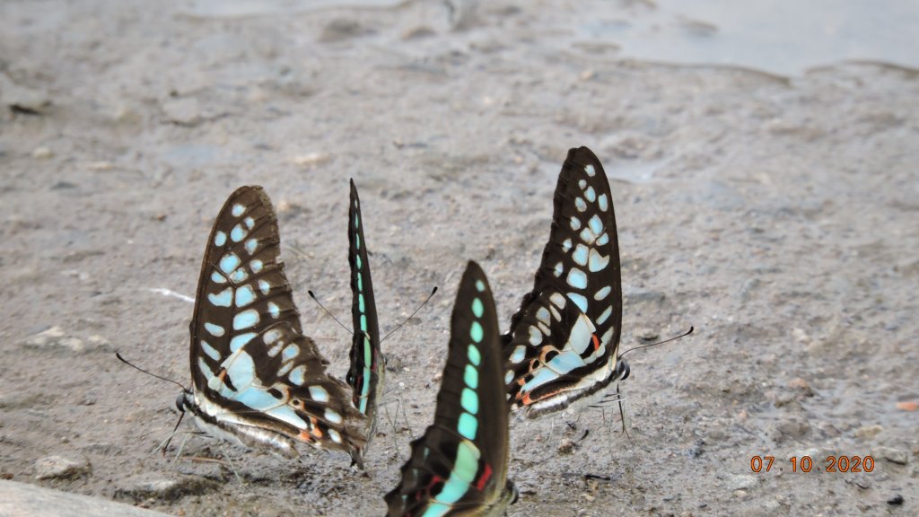 就是喜歡這個藍天白雲的FU_1028379