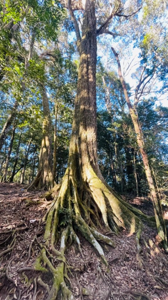鳶嘴西稜上鳶嘴山-醜崠三崠山連走_2656815