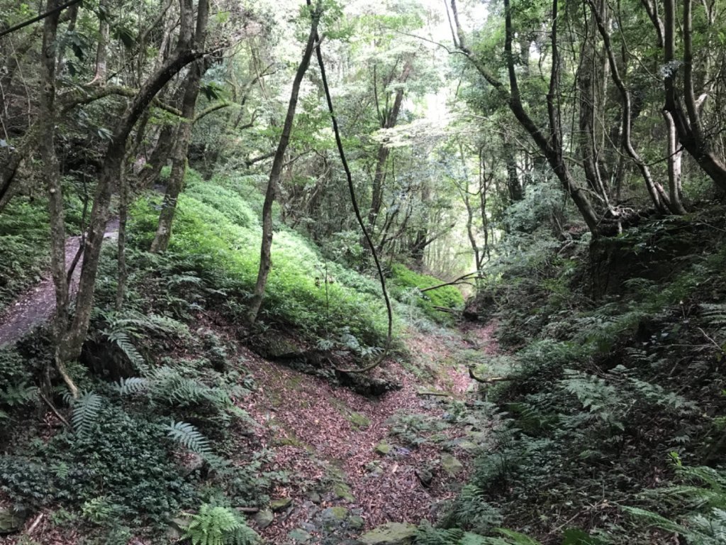  步道巡訪員 l 鎮西堡B區-巡訪員8月巡訪日誌_1080475