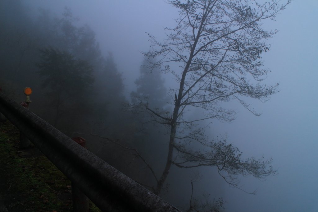 太平山見晴古道霧景濛濛 20181117_469361