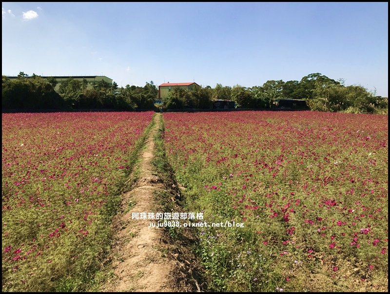 2019桃園花彩節。花現平鎮.幸福農來_762419