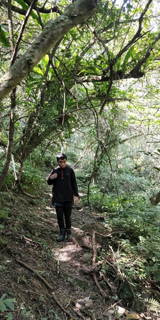 202102 三峽動物縱走小O繞_1278937