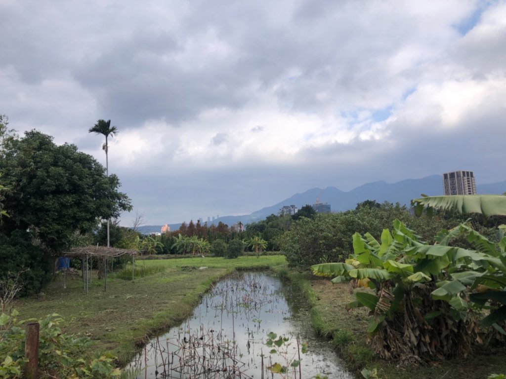 台北市尚存之平地基石，北投區下田寮3-773_2010134