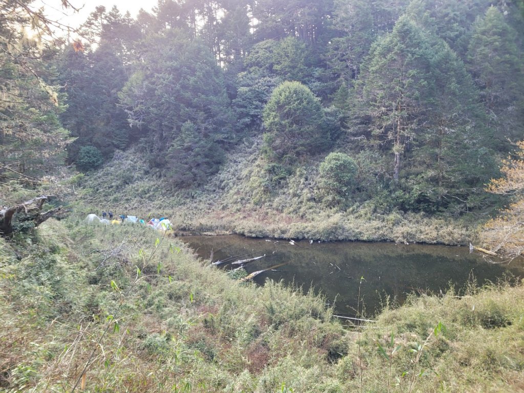 20230402奇萊東稜四天(百岳第72~75座)_2111260