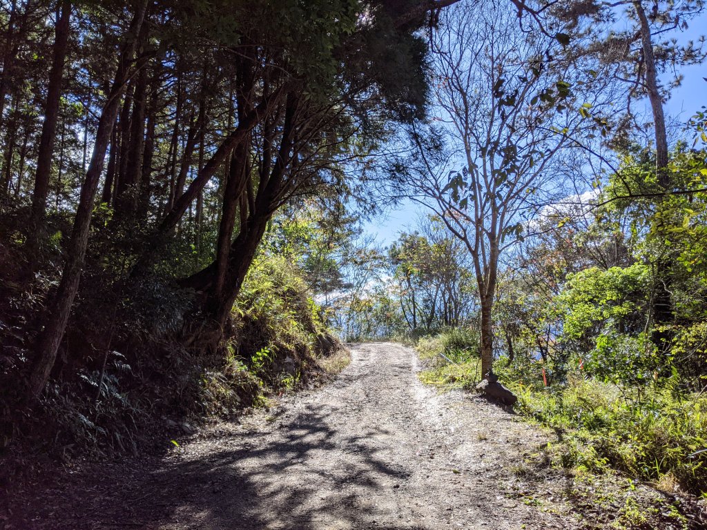 【高雄桃源】小關山林道上小關山_1275055