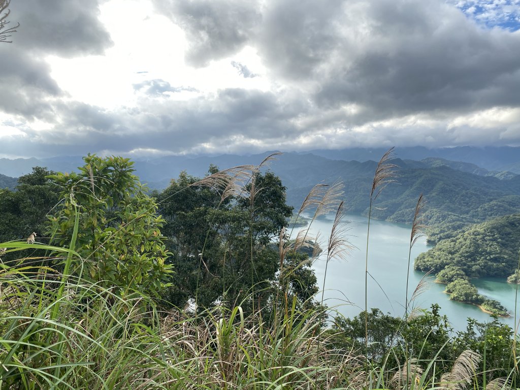 鱷魚島_1929836