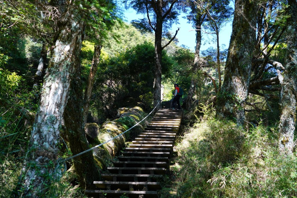 南橫三星 | 前緣再續。關山風月登庫哈諾辛、塔關山順訪中之關。_1780033