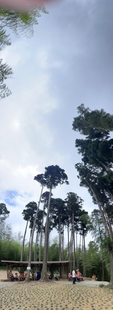 雲嶺之丘_20240720_2555085