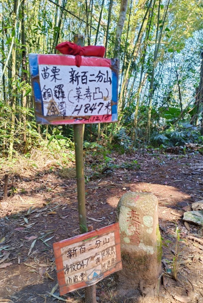 🔺基石 | 三角點_1974017