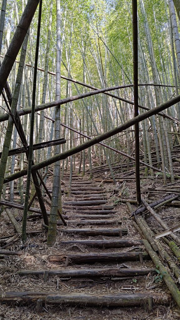 長壽山_2678049