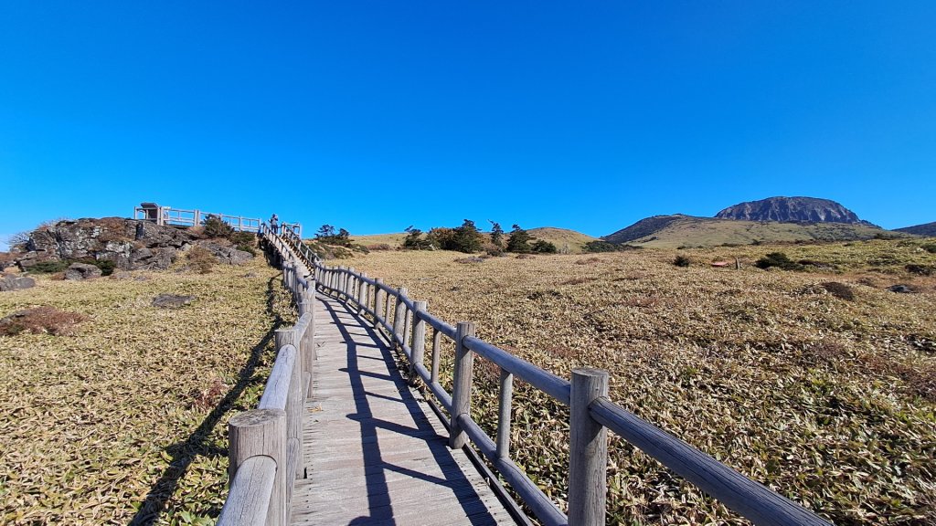 濟州島漢拏山-御里牧路線下_2942711