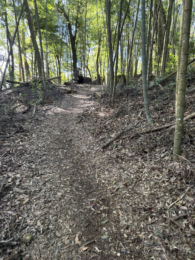 20251221嘉南雲峰、石壁山登山步道_2968126