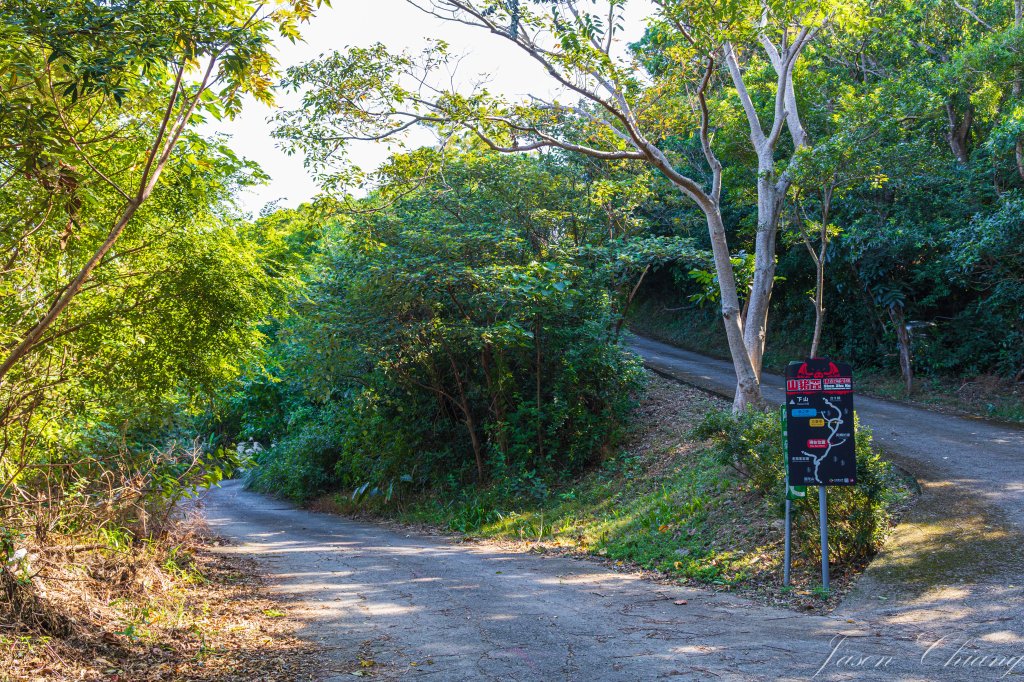 [台東]巴塱衛山_2978293