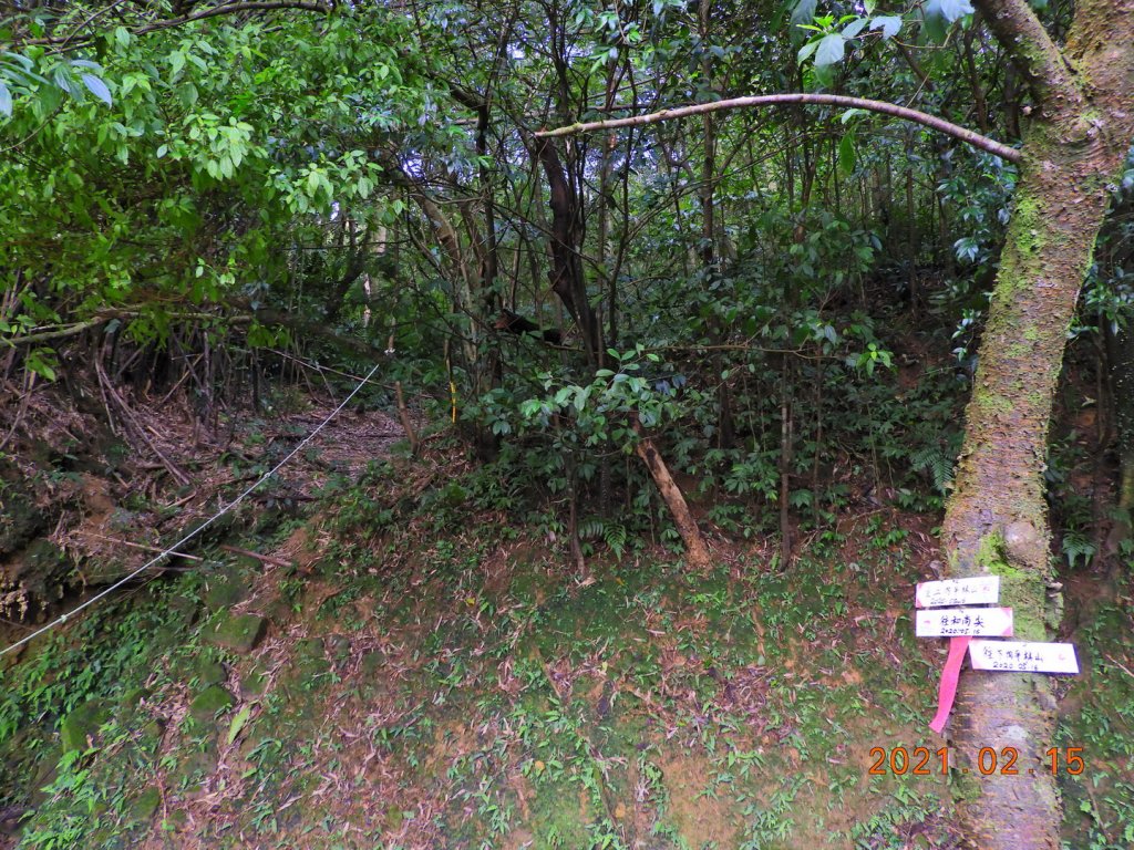 新北 雙溪 上內平林山、下內平林山_1273143