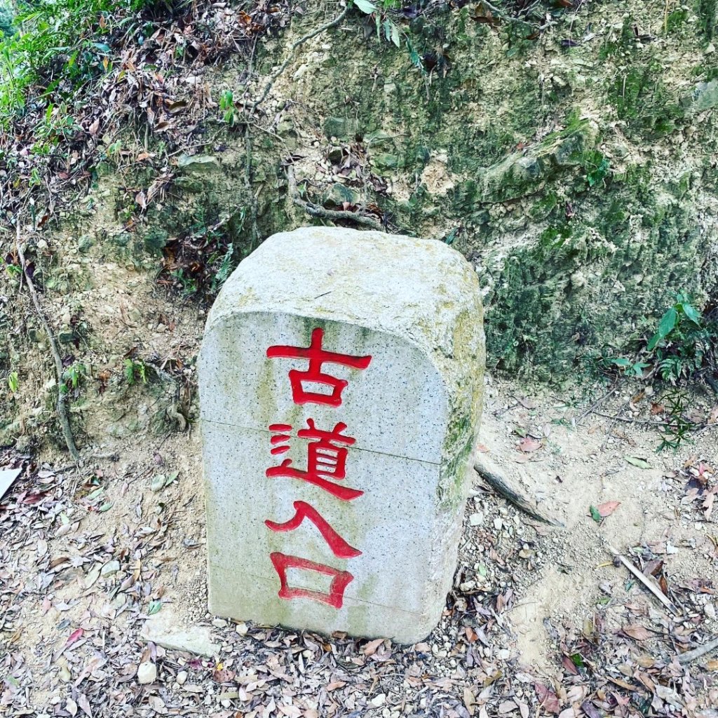 苗栗獅潭-鳴鳳古道封面圖