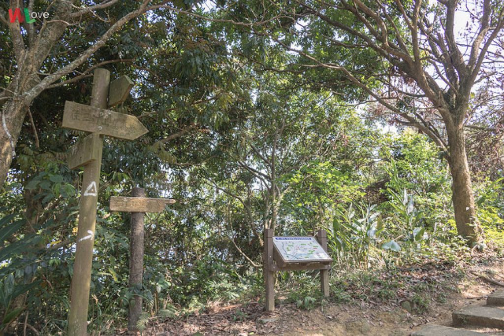 WL 愛旅行【三汀山】_291968