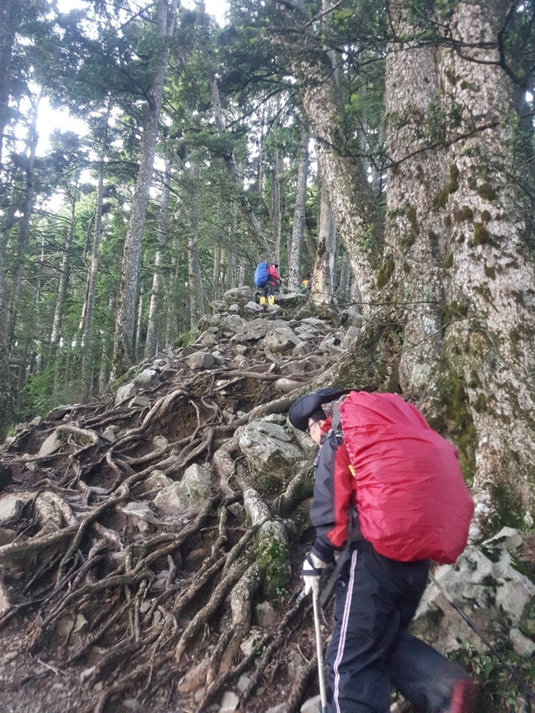 2017/06/30 南湖群峰帝王之山_247434