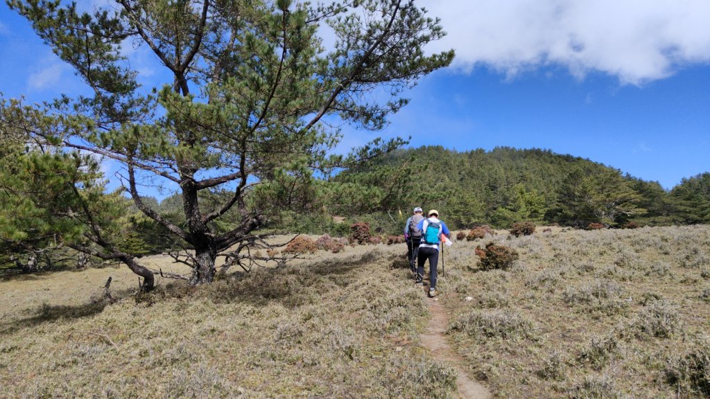 布拉克桑山單攻O繞嘉明湖戒茂斯山 2024年12月8日_2667037