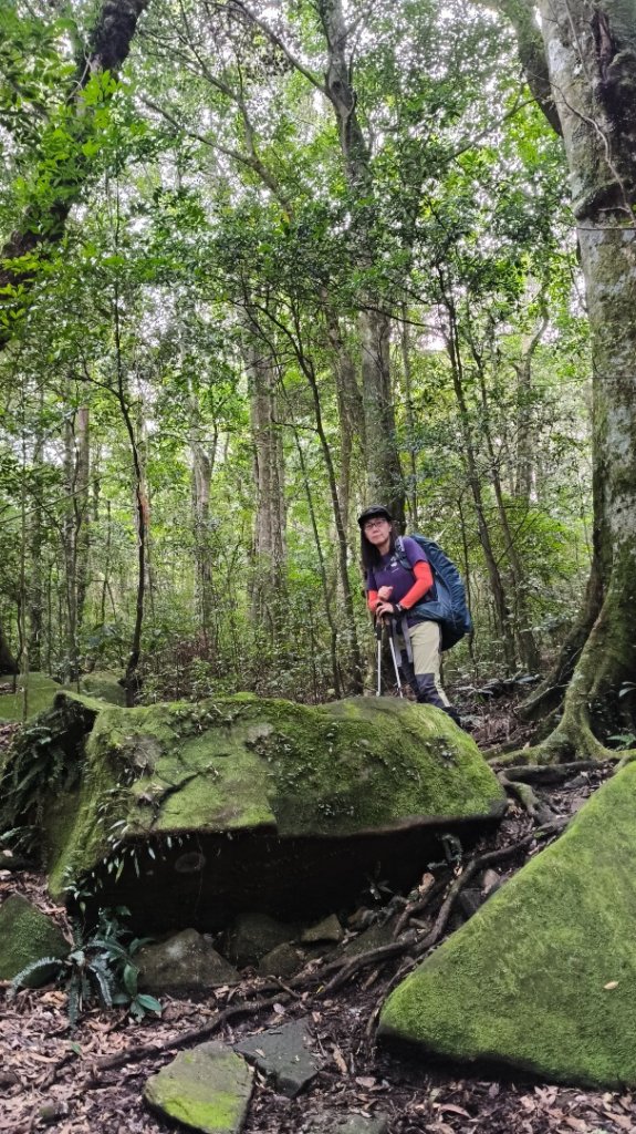 大混李棟重訓_2883609