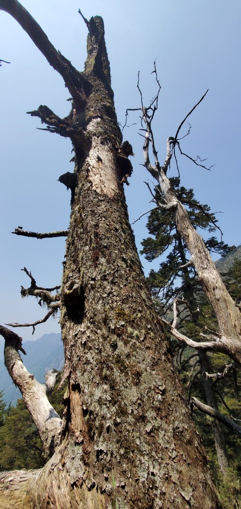 202414~15歷經2年抽籤終於蒞臨台灣最高峰玉山西、北、主峰_2481790