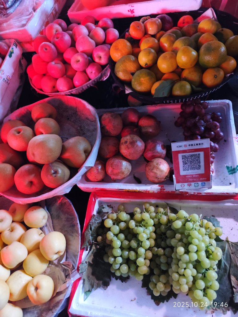 四川成都→廣漢市三星堆博物館→九寨溝_2933879