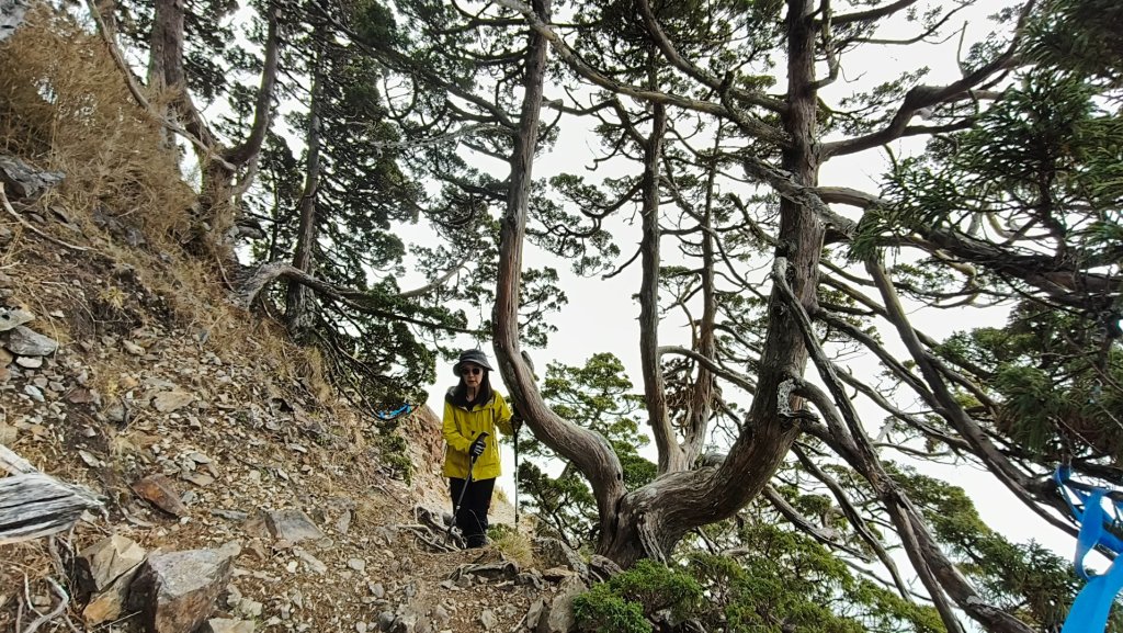 玉山後四峰20251216~19_2967163