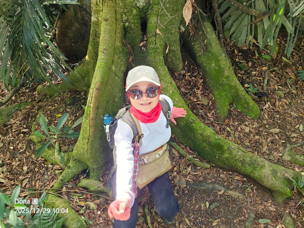 20251229石龜坑山上白石山下白石埤O走+阿姆坪_2976659