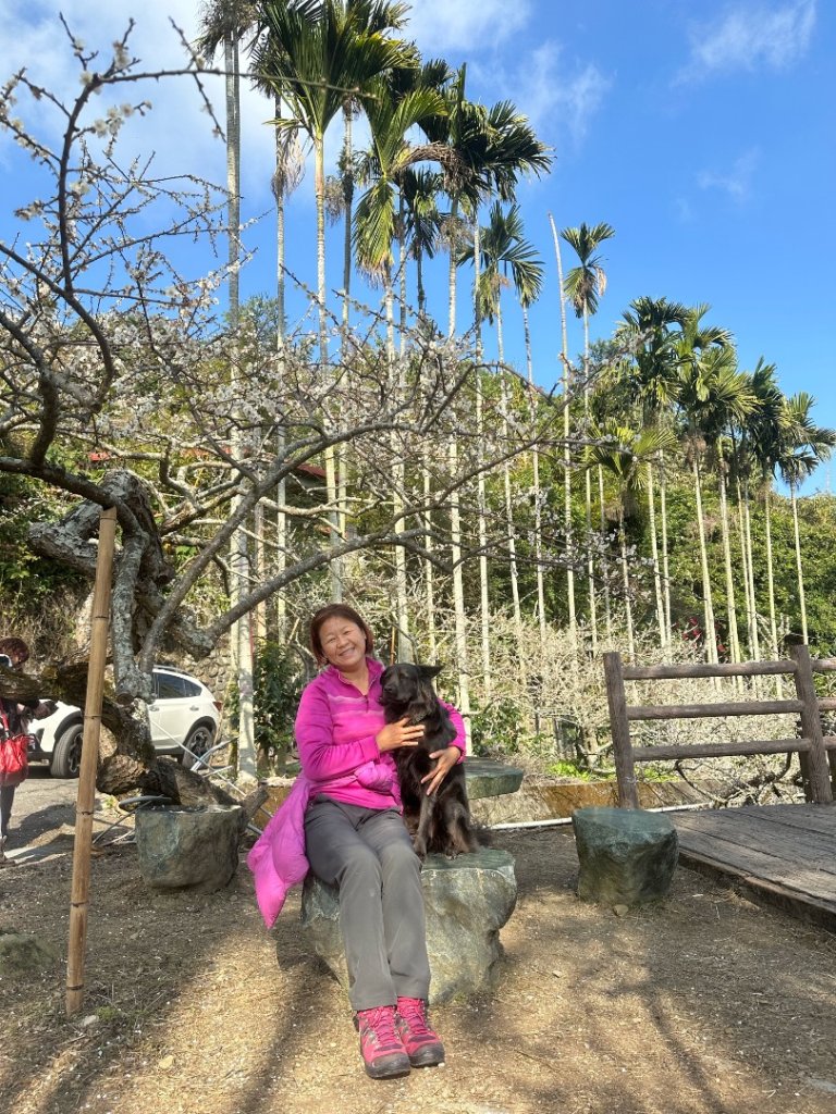 南投縣信義鄉二坪山步道_2690512