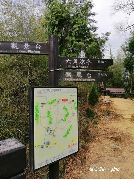 台中~蒼鬱森林芬多精~聚興山新田登山步道_1258906