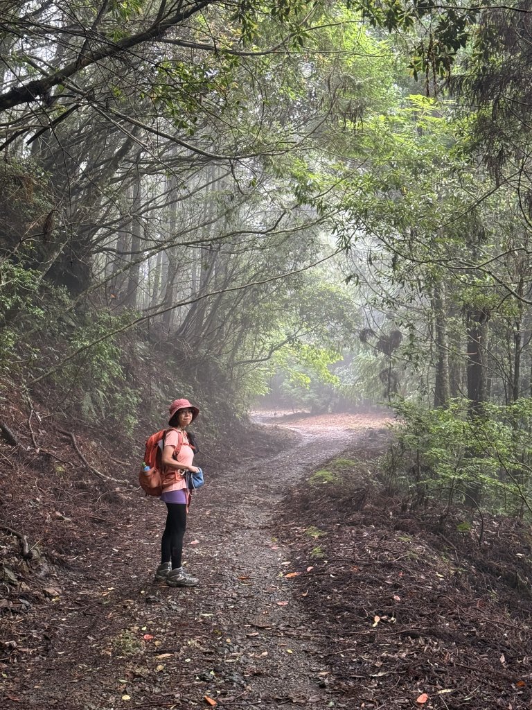 司馬限林道 訪 北坑駐在所_2811069