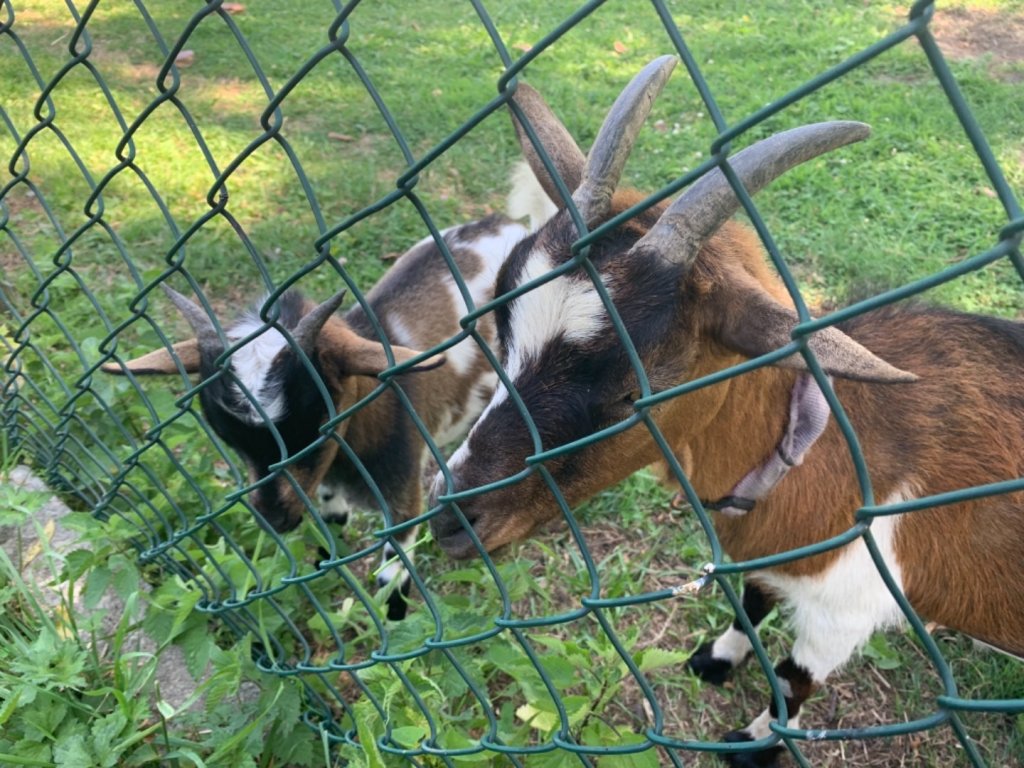 葡萄牙之路中央線（D3）_632592