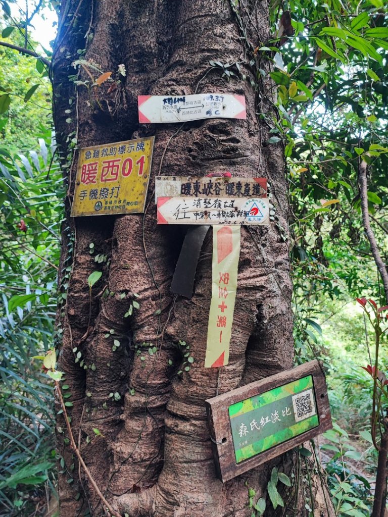 暖東峽谷步道-(基隆)臺灣百大必訪步道_2249155