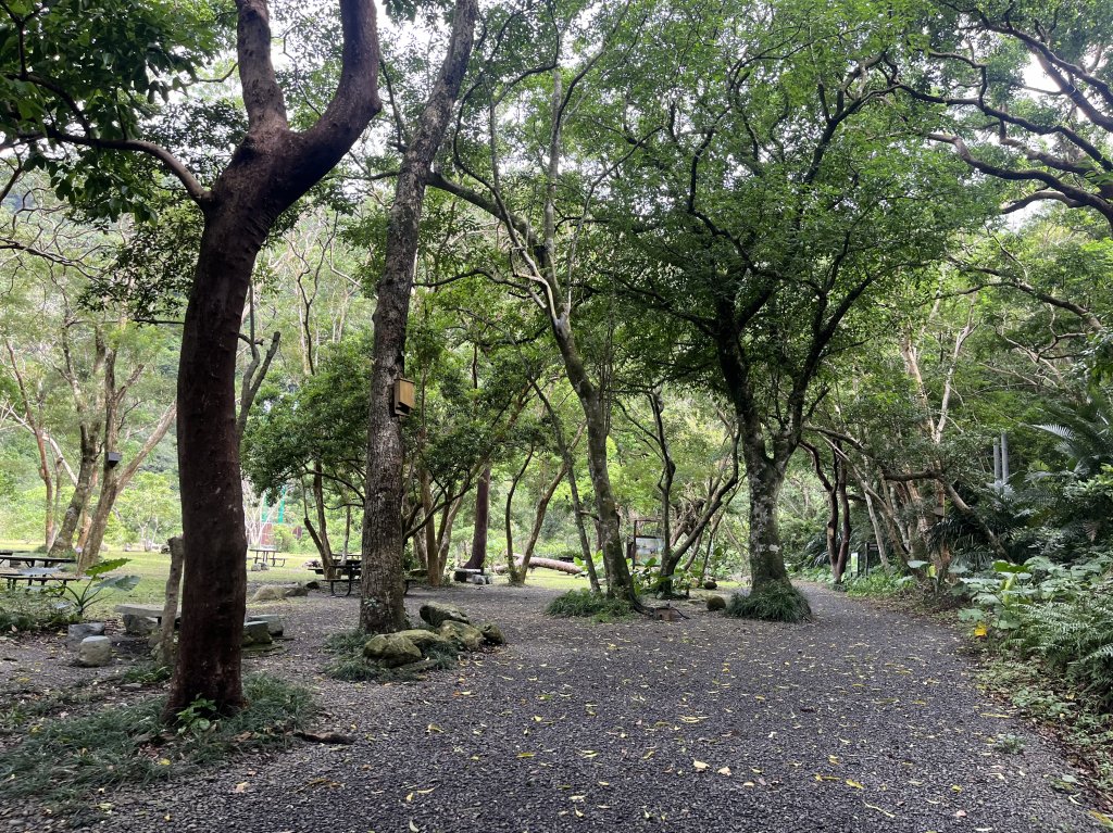 [屏步青雲 尋寶任務-03/10] 2024_0917 雙流國家森林遊樂區（瀑布步道）_2597705