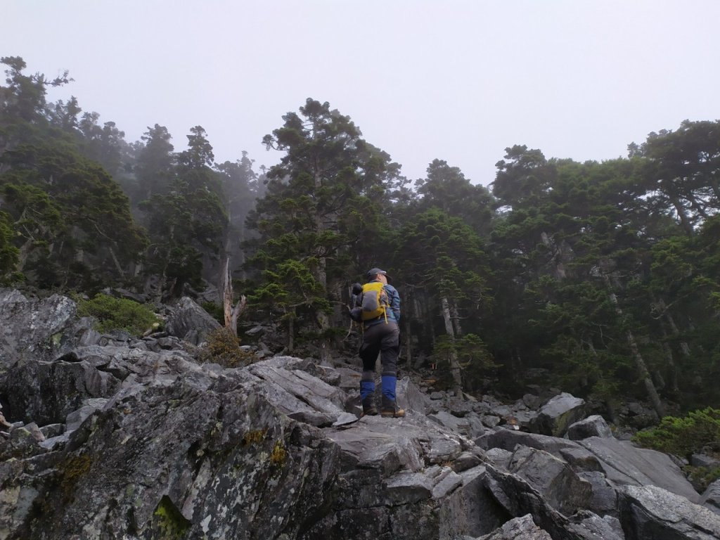 白姑大山之夜_1144088