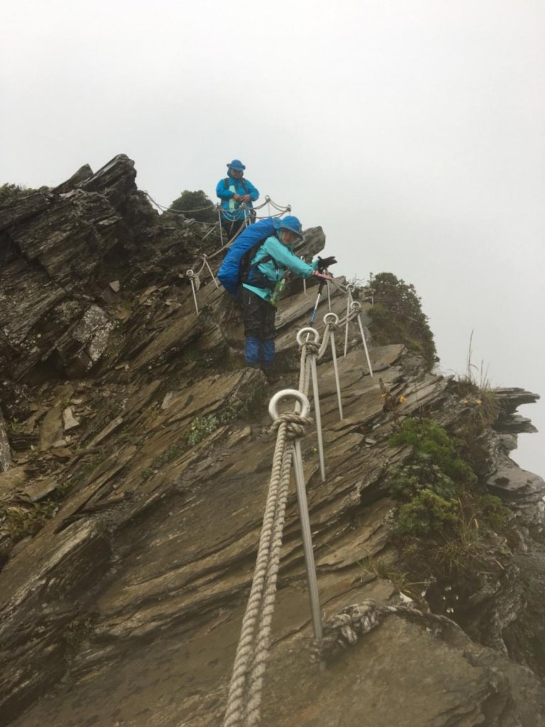 南湖真難胡_450321