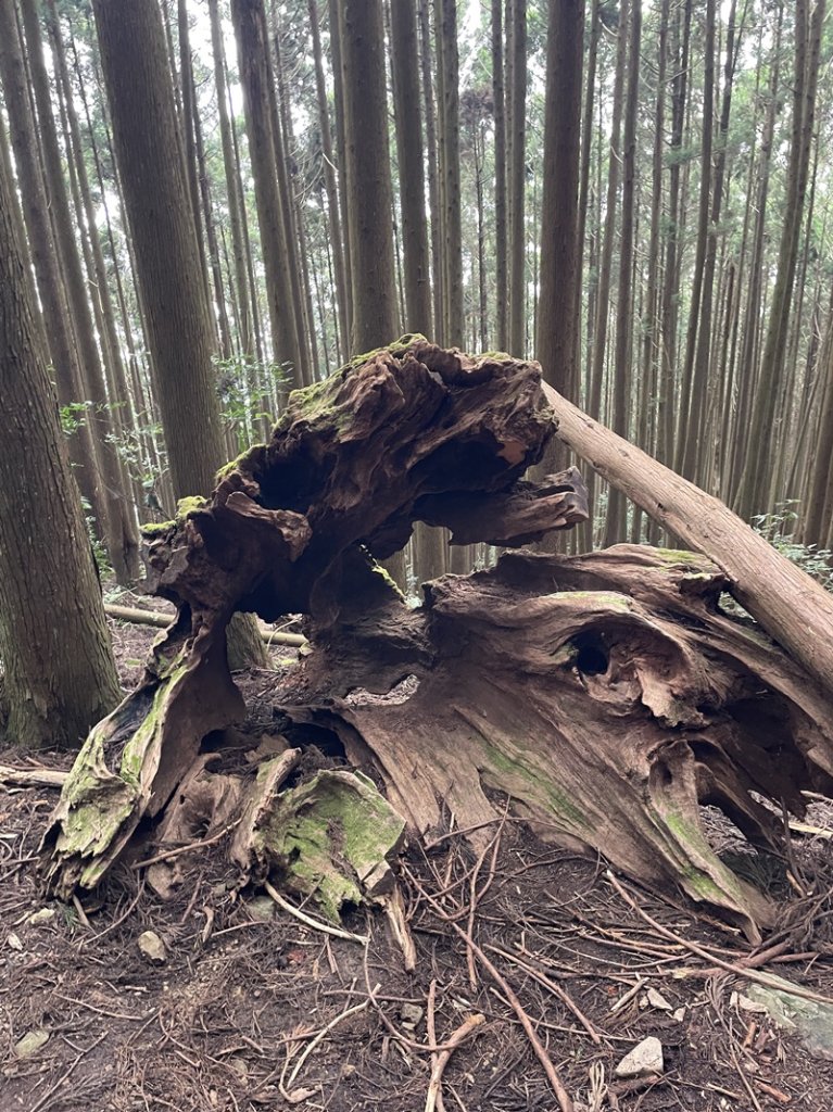 民都有山_2877334